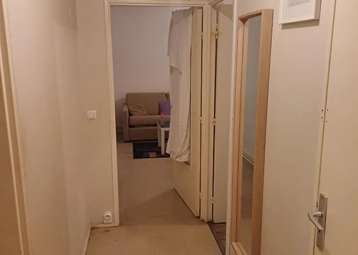 émeraude Tulipe Nantes